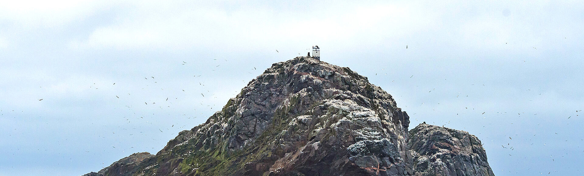 https://www.hebrideanadventures.co.uk/wp-content/uploads/2024/10/SulaSgeir_FAG3731-e1759506265836.jpg
