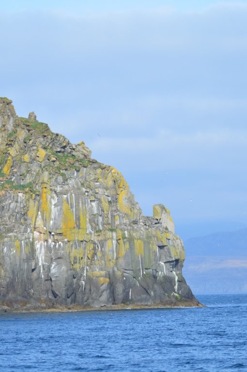 Shaint from Hebridean Adventures cruise